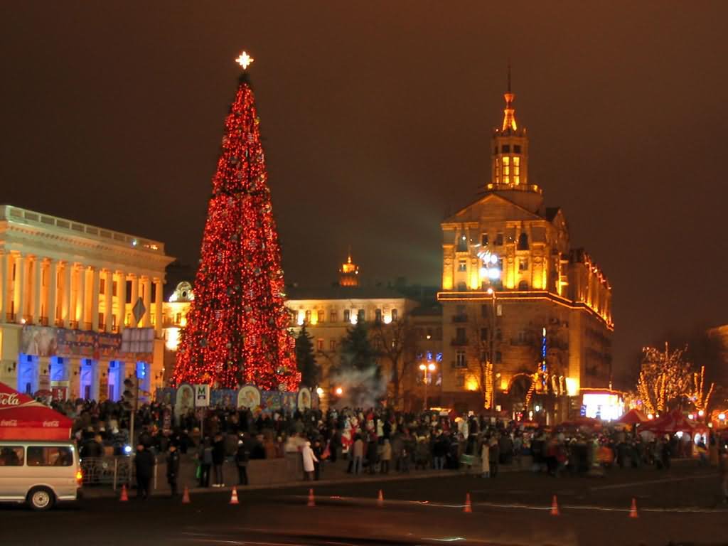 Christmas Tree at The Maidan Nezalezhnosti Square During Night Picture