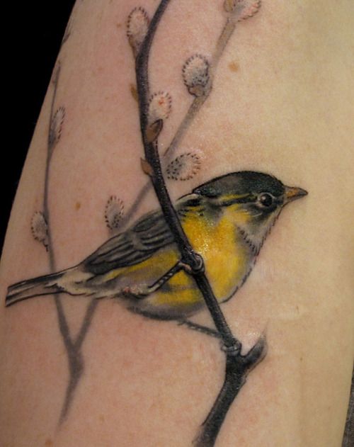 Color Ink Sparrow Tattoo