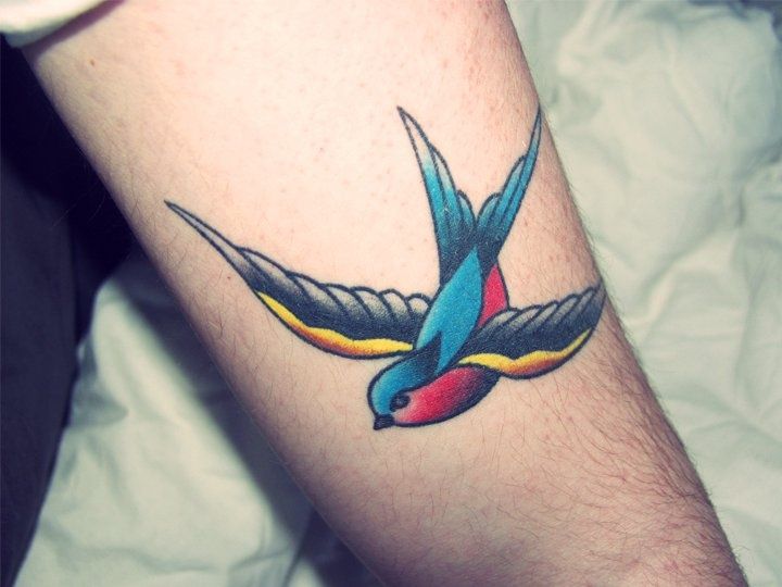 Colorful Sparrow Tattoo On Arm