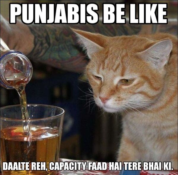 15+ Funniest Punjabi Meme Pictures Of All The Time
