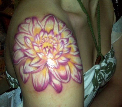 Dahlia Flowers Tattoo On Right Shoulder
