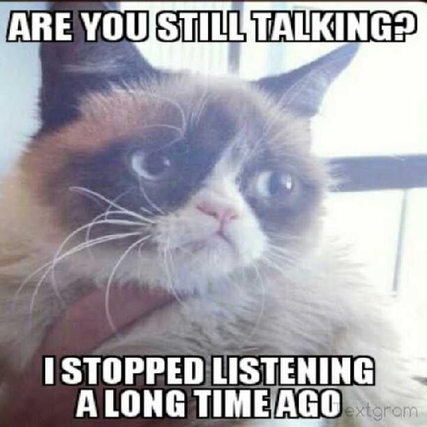 Deaf Grumpy Cat Funny Picture