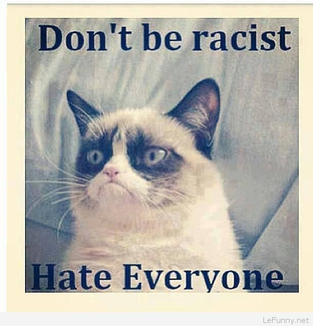 Don’t Be Racist Hate Everyone Funny Grumpy Cat Image