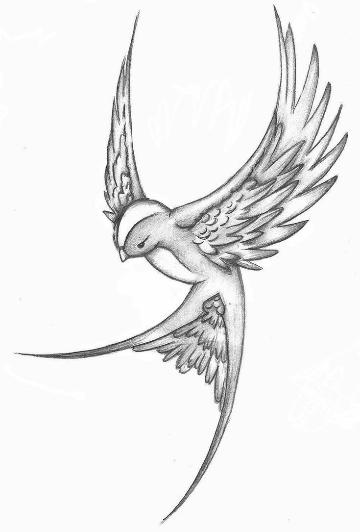 Flying Ornate Sparrow Tattoo Design