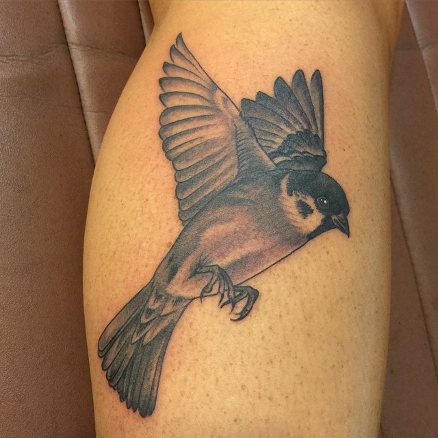 Flying Sparrow Tattoo On Leg