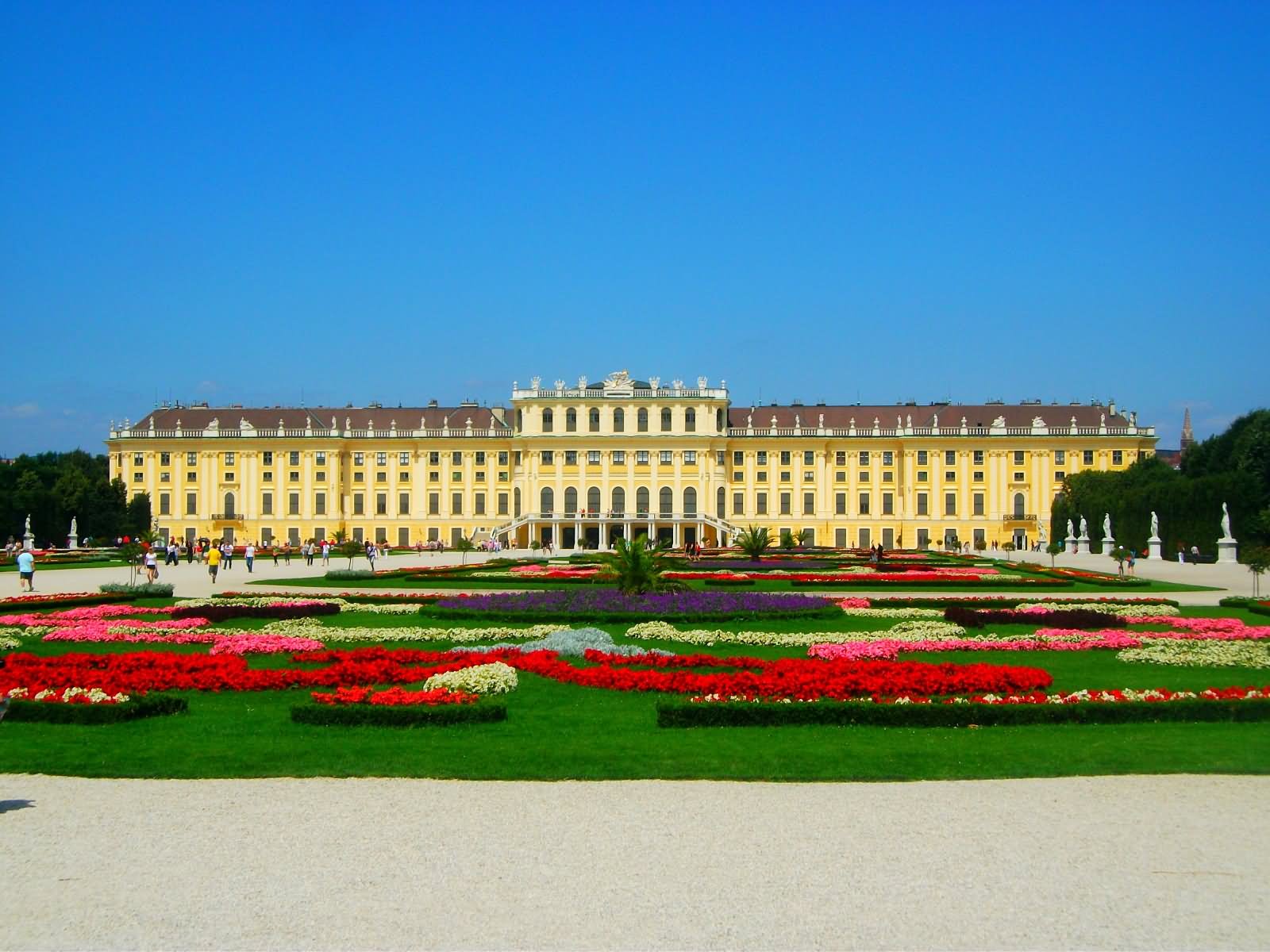 Front View Of Schonbrunn Palace With Beautiful Garden Picture