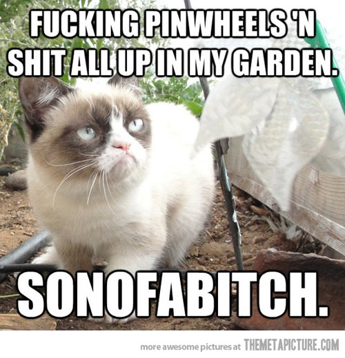 Fucking Pinwheels 'N Shit All Up In Garden Sonofabitch Funny Grumpy Cat Meme Image
