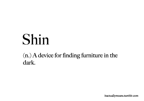 Funny Definition Shin A Device For Finding Furniture In The Dark Photo