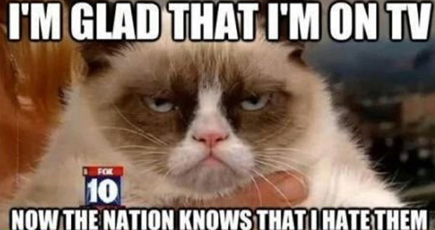 Funny Grumpy Cat I Am Glad That I Am On Tv Now The Nation Knows That I Hate Them Picture