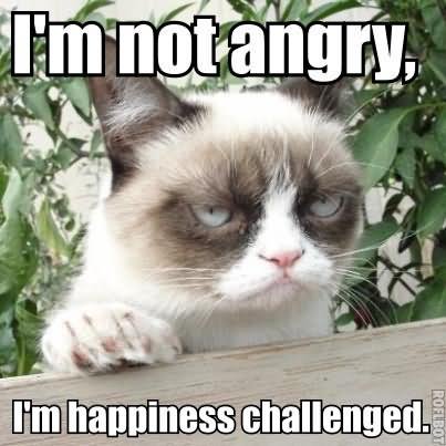 Funny Grumpy Cat I Am Not Angry I Am Happiness Challenged Meme Image