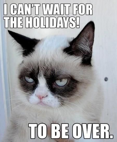 Funny Grumpy Cat I Can't Wait For The Holidays To Be Over Picture