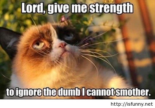 Funny Grumpy Cat Lord Give Me Strength To Ignore The Dumb I Cannot Smother Picture