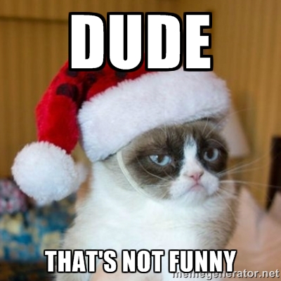Funny Grumpy Cat Meme Dude That Not Funny Image