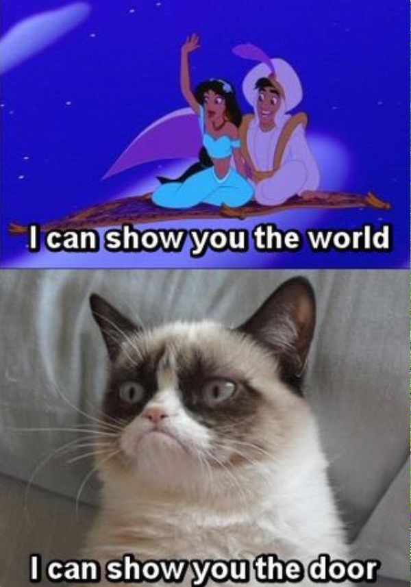 Funny Grumpy Cat Meme I Can Show You The World I Can Show You The Door Image