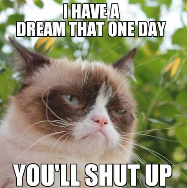 Funny Grumpy Cat Meme I Have Dream That One Day You Will Shut Up Image