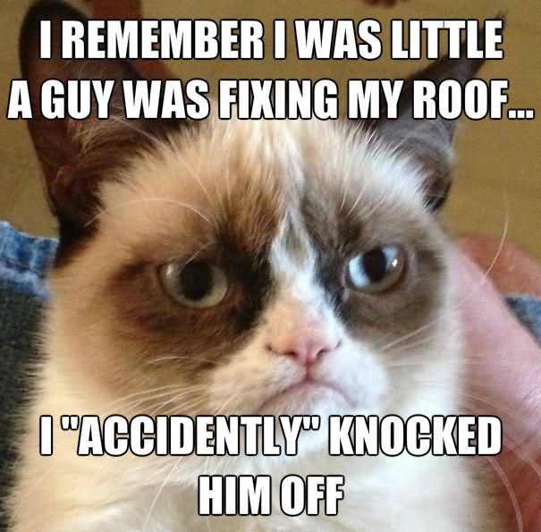 Funny Grumpy Cat Meme I Remember I Was Little A Guy Was Fixing My Roof I ''Accidently'' Knocked Him Off Photo