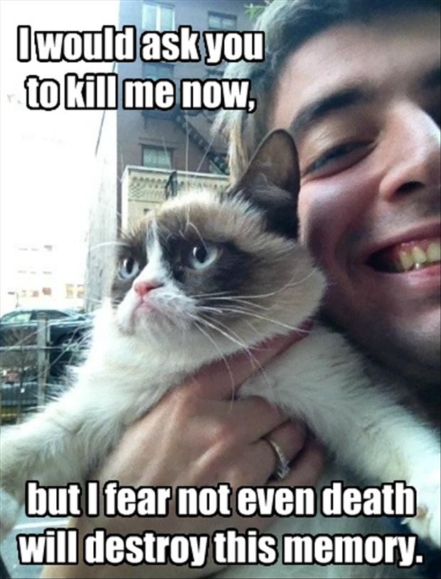 Funny Grumpy Cat Meme I Would Ask You To Kill Me Now But I Fear Not Even Death Will Destroy This Memory Picture