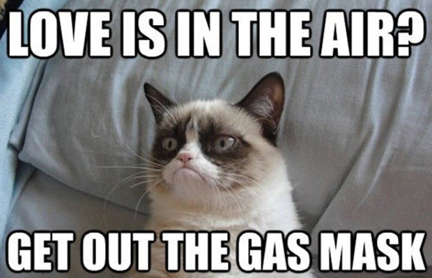 Funny Grumpy Cat Meme Love Is In The Air Get Out The Gas Mask Photo