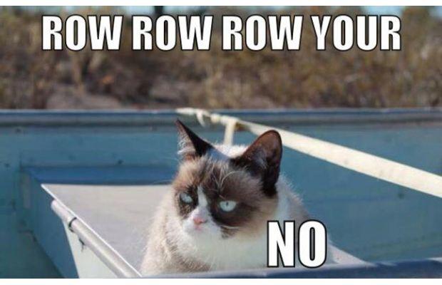 Funny Grumpy Cat Meme Row Row Row Your No Picture