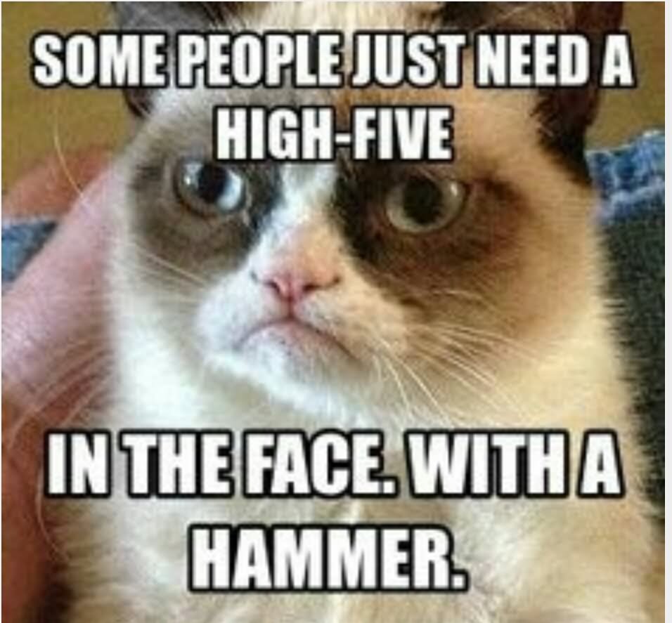 Funny Grumpy Cat Meme Some People Just Need A High-Five In The Face With A Hammer Image
