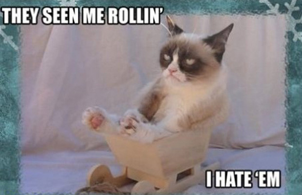Funny Grumpy Cat Meme They Seen Me Rollin I Hate 'Em Picture