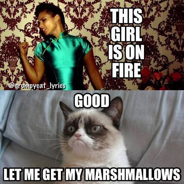 Funny Grumpy Cat Meme This Girl Is On Fire Good Let Me Get My Marshmallows Picture