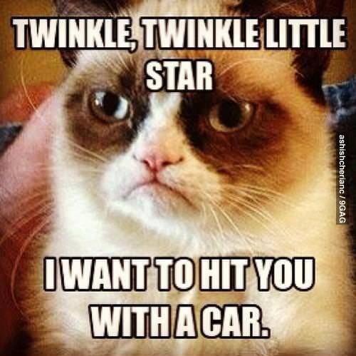 Funny Grumpy Cat Meme Twinkle, Twinkle Little Star I Want To Hit You With A Car Picture