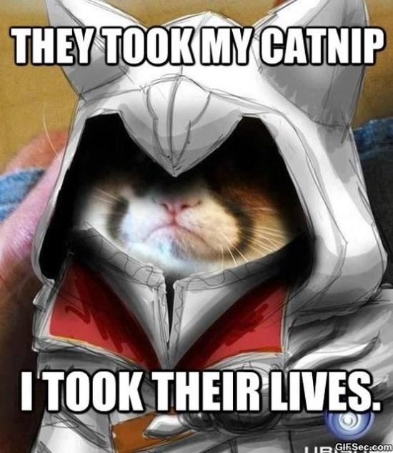 Funny Grumpy Cat They Took My Catnip I Took Their Lives Image
