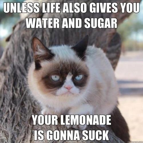 Funny Grumpy Cat Unless Life Also Gives You Water And Sugar your Lemonade Is Gonna Suck Image