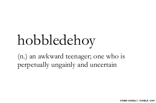 Funny Hobbledehoy Definition Picture