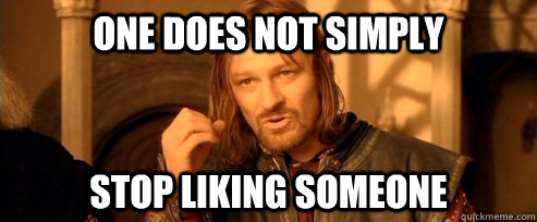 Funny Meme One Does Not Simply Stop Liking Someone Photo
