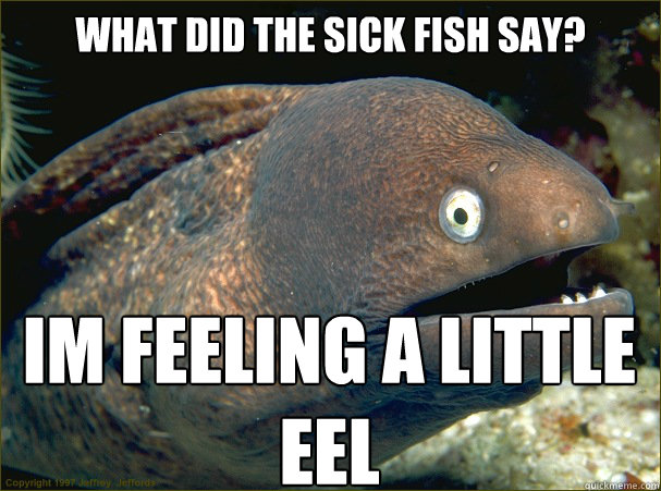 Funny Sick Meme What Did The Sick Fish Say I Am Feeling A Little Eel Picture