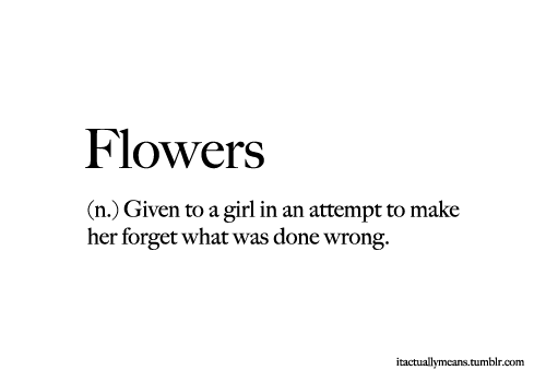 Given To A Girl In An Attempt To Make Her Forget What Was Done Wrong Funny Flowers Definition Image