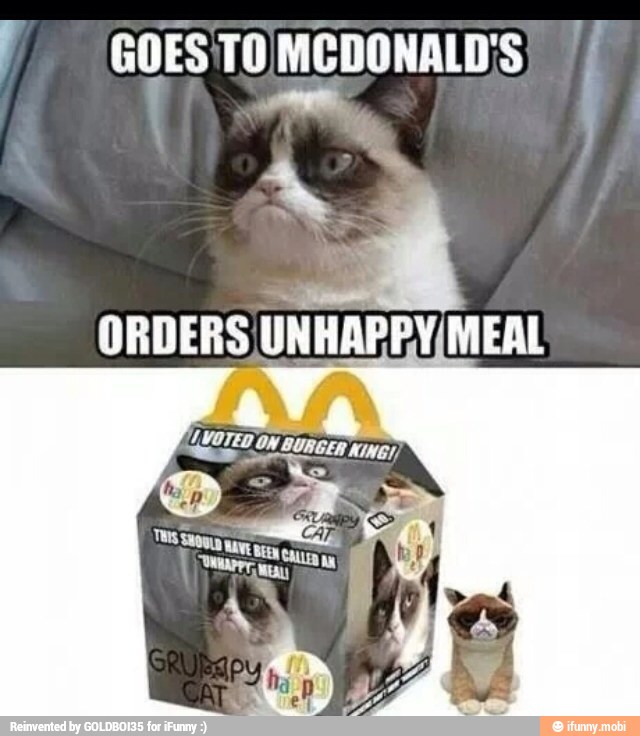 Goes To Mcdonald's Orders Unhappy Meal Funny Grumpy Cat Meme Picture
