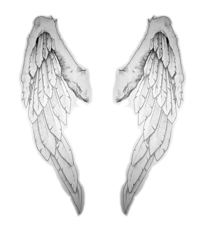 Grey Ink Angel Wings Tattoo Design For Back