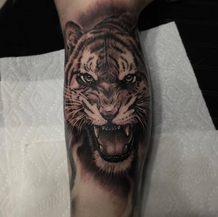 Grey Ink Angry Tiger Tattoo On Leg by Danny Lepore