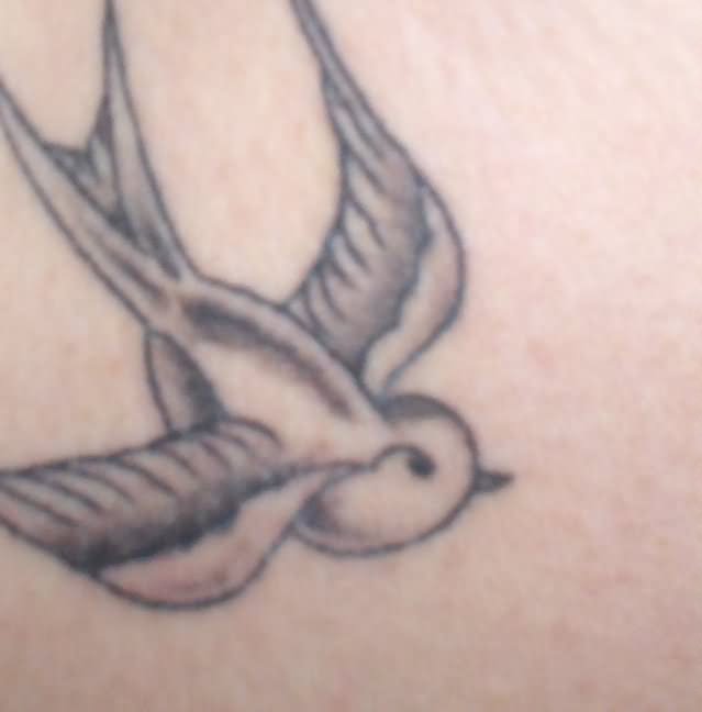 Grey Ink Flying Sparrow Tattoo