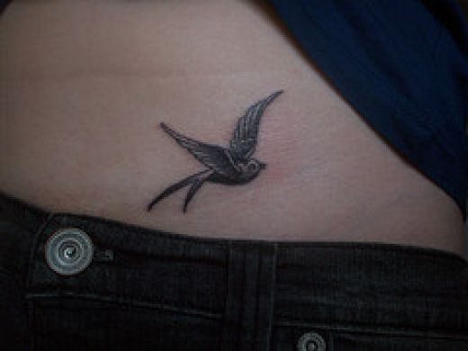 Grey Ink Sparrow Tattoo Belly