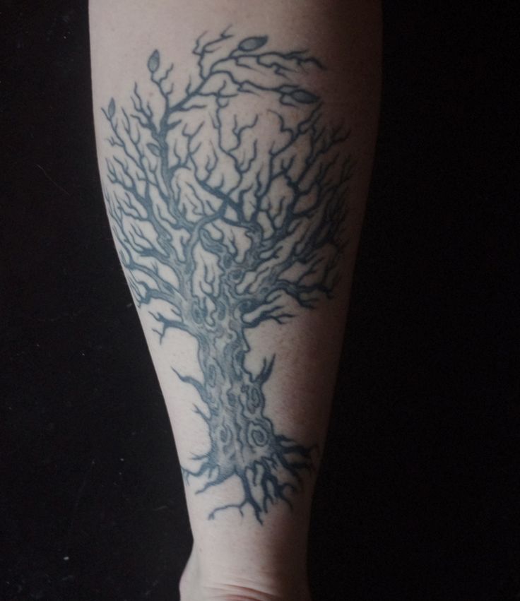 Grey Ink Tree Without Leaves Tattoo On Leg Calf