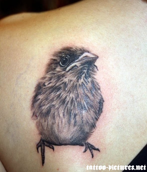 Grey Sparrow Tattoo On Left Back Shoulder