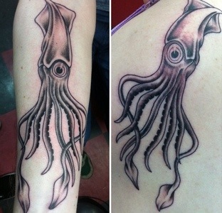 Grey Squid Tattoo Idea