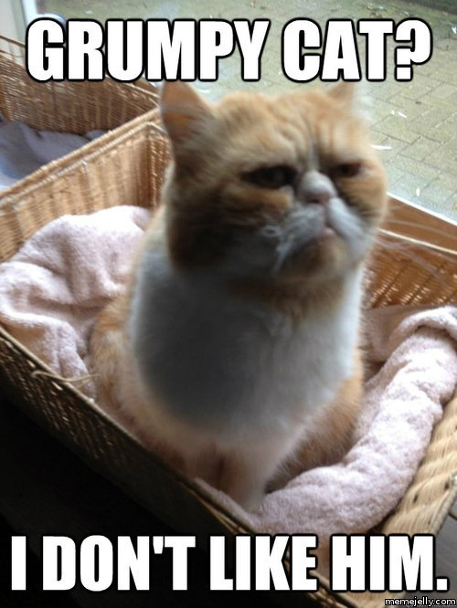 Grumpy Cat I Don't Like Him Funny Meme Image