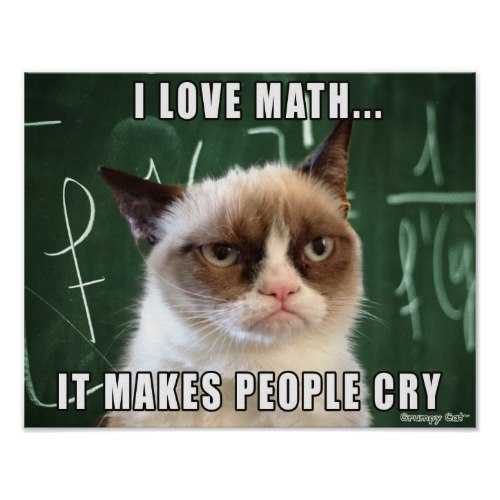 Grumpy Cat Loves Math Funny Picture