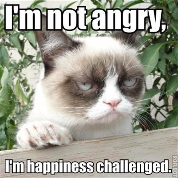 Grumpy Cat Say I Am Not Angry Very Funny Image