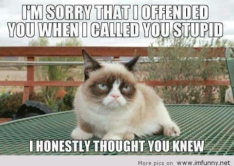 Grumpy Cat Say Sorry Funny Image