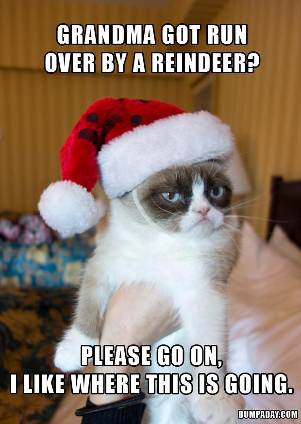 Grumpy Cat With Santa Clause Cap Funny Picture