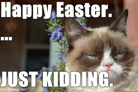 Happy Easter Just Kidding Funny Grumpy Cat Meme Photo