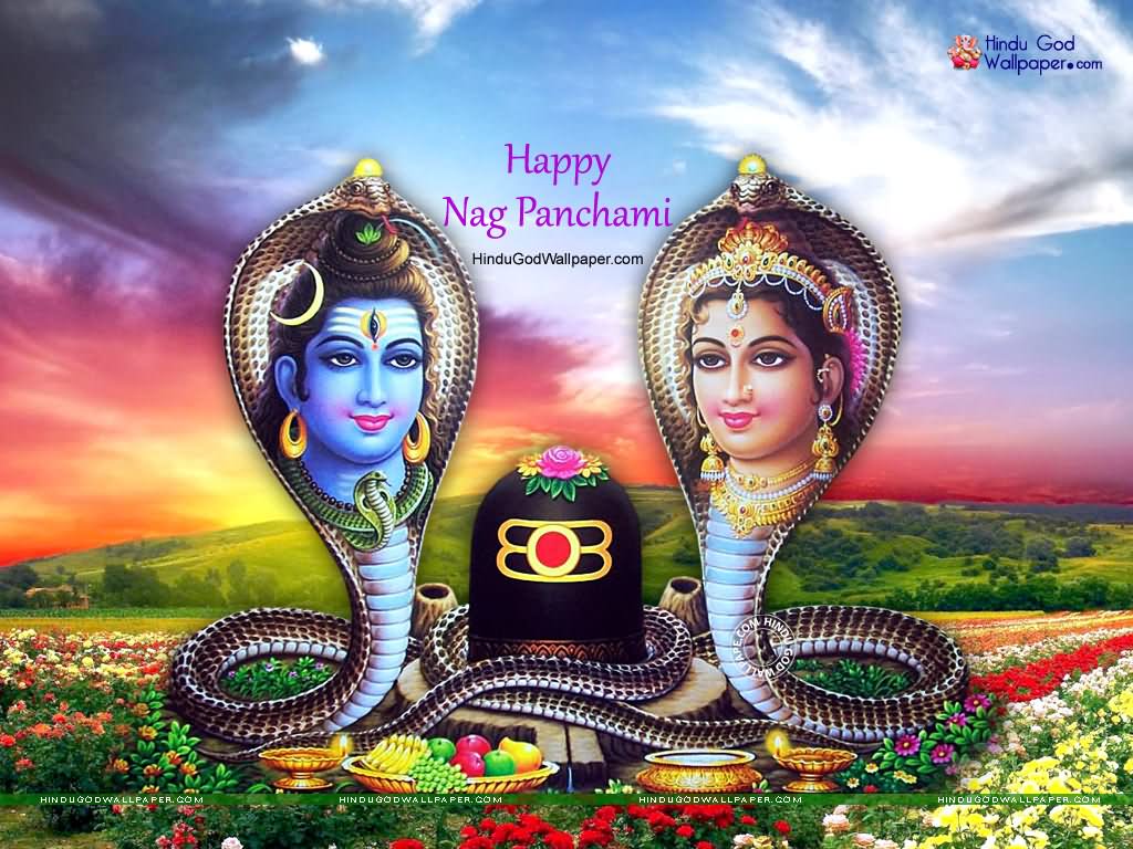 Happy Nag Panchami Lord Shiva And Parvati Picture
