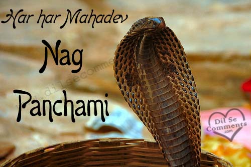 Har Har Mahadev Happy Nag Panchami