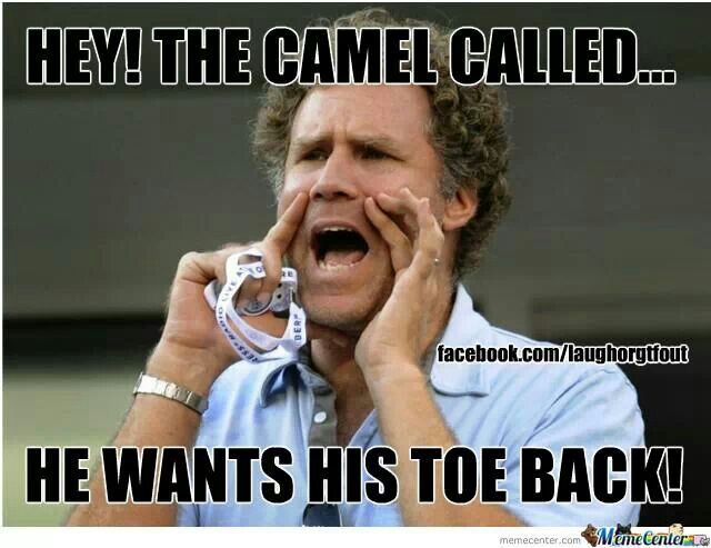 Hey The Camel Called He Wants His Toe Back Funny Will Ferrell Picture